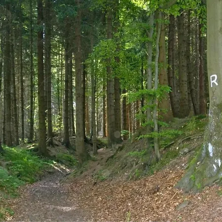 Σπίτι διακοπών Sunlit Retreat With Garden, Cleaning Included Altenfeld (Thuringia)