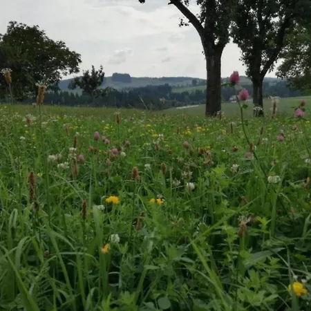 Sunlit Retreat With Garden, Cleaning Included Altenfeld (Thuringia)