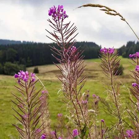 Sunlit Retreat With Garden, Cleaning Included * Altenfeld (Thuringia)