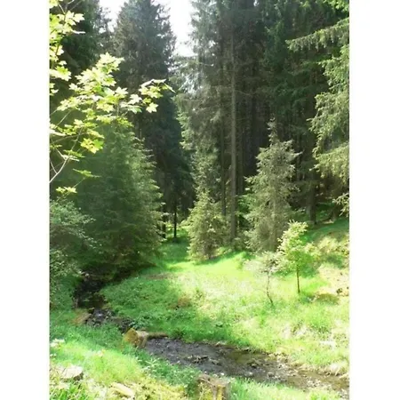 Sunlit Retreat With Garden, Cleaning Included Altenfeld (Thuringia)
